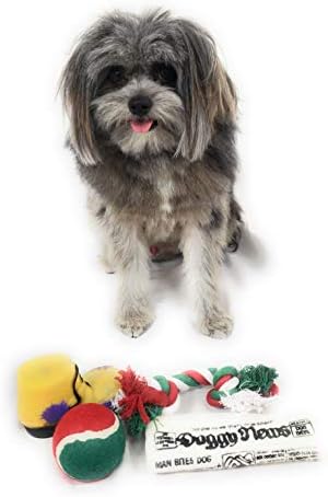 Коледни играчки за отглеждане на кучета. Упаковывайте разнообразни пищалкой вътре вестникарска играчки, дрезгав ботинком, червен, зелен и бял тенис топката и червено-бяла и зелена коледа играчка от въже с възли. Малки